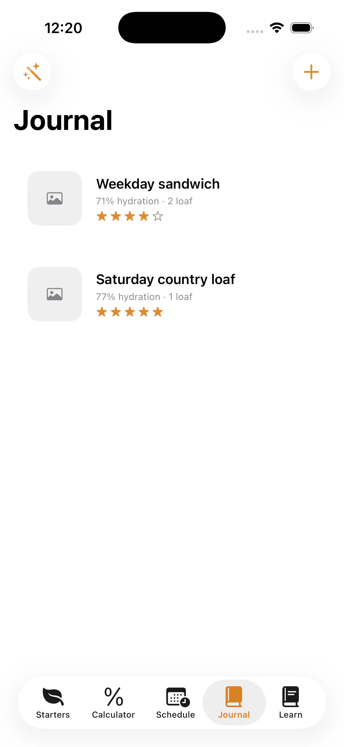Banneton journal screen